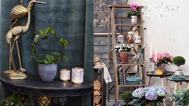 Blomsterlandet spår höstens trender med god hälsoeffekt