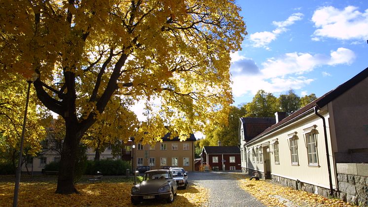 Kyrkbacken