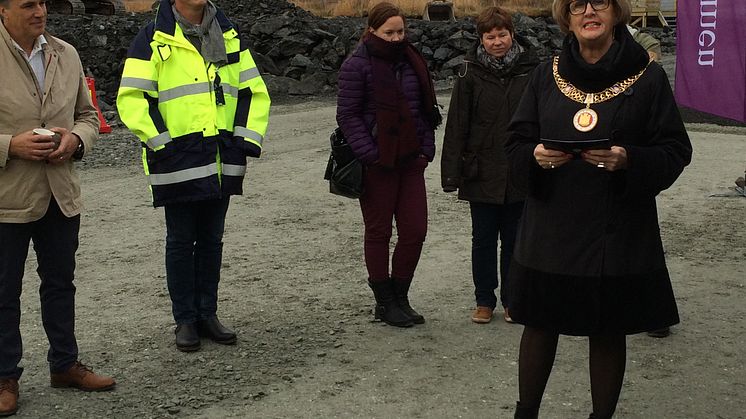Lonaparken - LINK arkitektur
