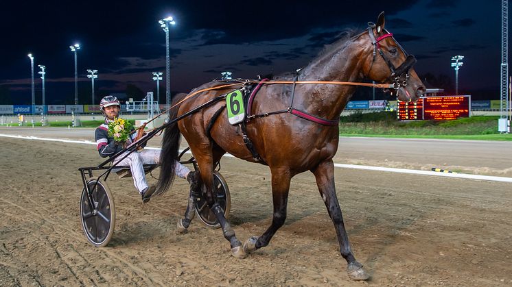 Adrian Kolgjini har en bra känsla inför finalen av Svenskt Travderby