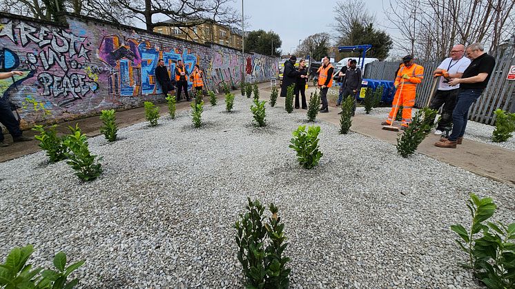 New Southgate replanting 2.jpg