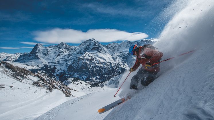 Telemark-Fahrer im Gebiet Birg-Schilthorn
