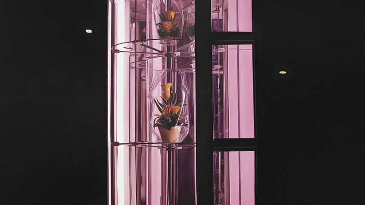 Till Rabus, Automate à fleurs / flower night-dispenser, 2009