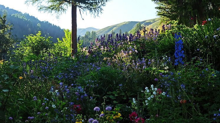 ST_Botanical-Garden-Alpinum-Schatzalp_c_Berghotel_Schatzalp_AG