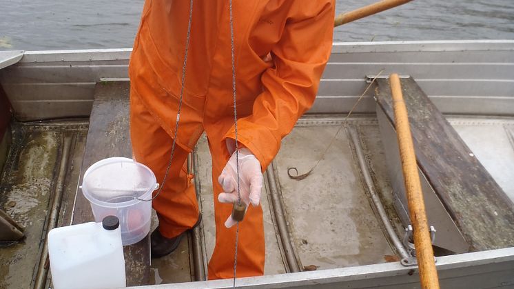 E-dna-provtagning i Mälaren. På bilden syns Patrik Bohman, institutionen för akvatiska resurser, SLU.