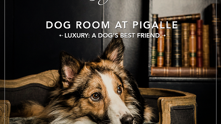 Från slott till hundkoja