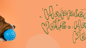 LinkedIn-unternehmens-Header-Happier-Pets