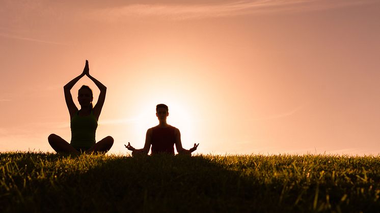 Yoga is a great way to stay vibrant and healthy. And drinking purified water from Bluewater is a perfect companion to a yoga session (and in between) as it helps keep the body both charged and balanced as well as avoiding putting toxins back into it.