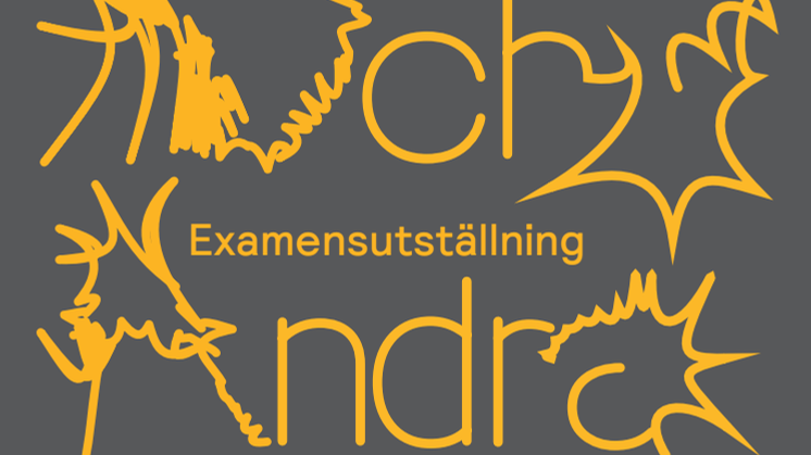 Vulkaner_och_Andra _Utbrott_katalog_final.pdf