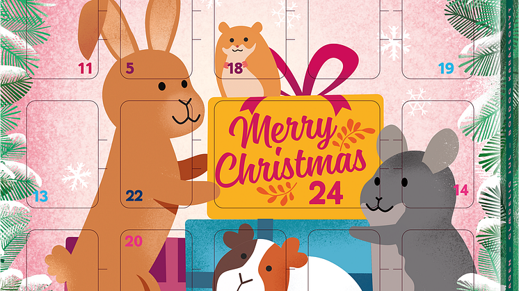 MultiFit-Adventskalender Nager