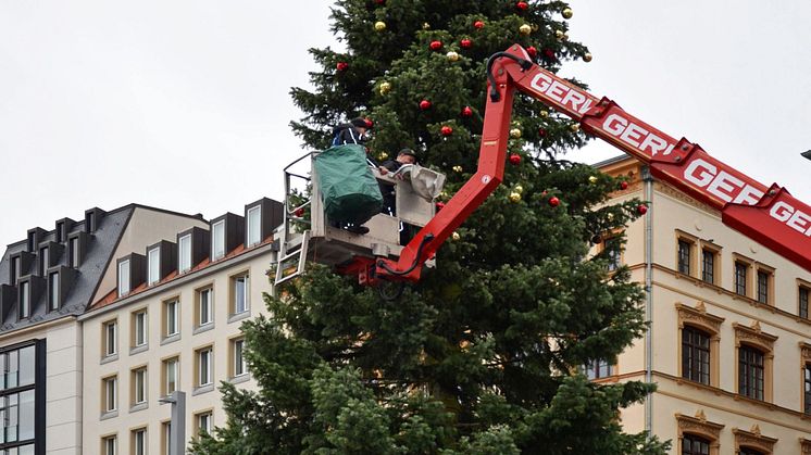 Schmücken des Weihnachtsbaums