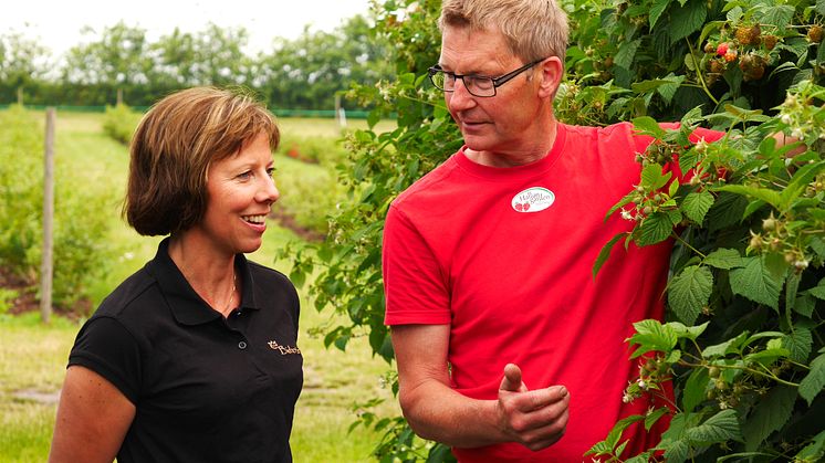 Viktoria Bassani och Johan Biärsjö diskuterar pollineringssamarbete och nya läskydd. Foto: Anna Lind Lewin.