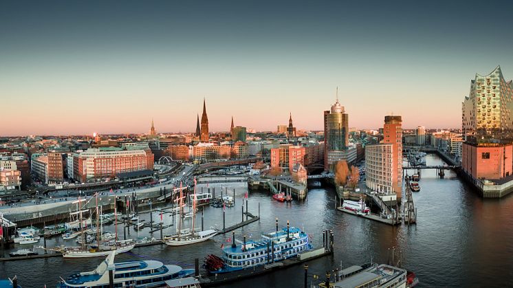 © AdobeStock / Jonas Weinitschke