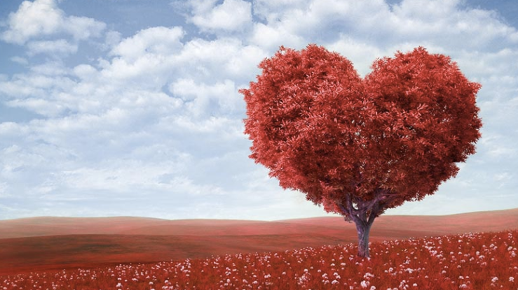 5 Valentine's Day Campaigns We Heart