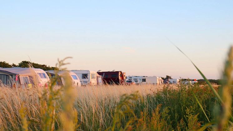 Camping'