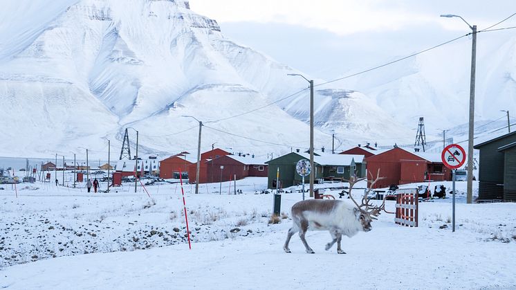 Visit Svalbard Adopts Sustainable Marketing Guidelines to Promote Responsible Tourism