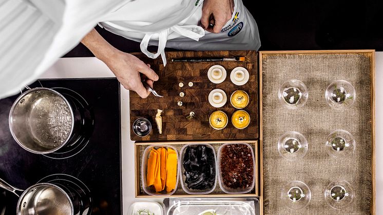 Adam Dahlberg Bocuse d'Or 2013