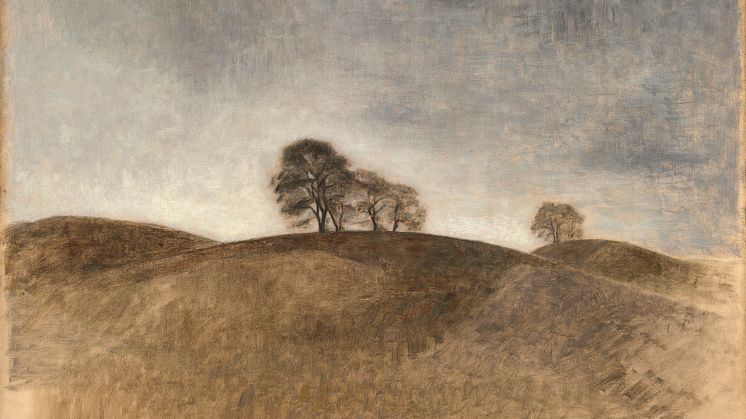Vilhelm Hammershøi: Landskab fra Dunkebakke, Frederiksværk (1904)