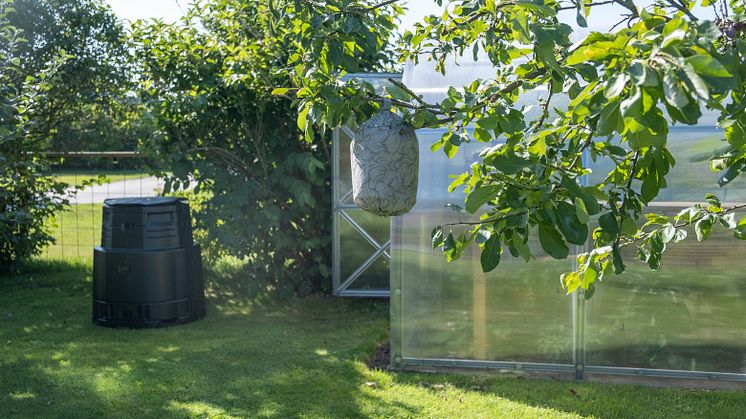 Bli av med insekterna giftfritt!