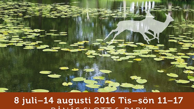 Sommarens konstutställning "Gränsfall" - på Rånäs Slott