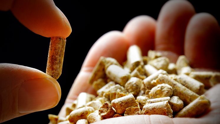 Totalt användes 1,8 miljoner ton pellets i Sverige under 2017. Foto: Mikael Damkier