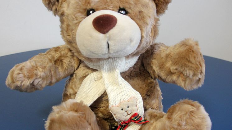 Weihnachtsgeschenke und Spenden für Bärenherz - Kleiner Rückblick in Bildern