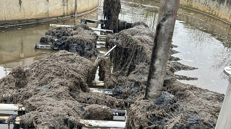 Veolia_Kläranlage Bad Lausick_Reinigung Belebungsbecken 1