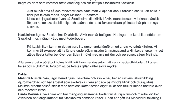 Snart öppnar stockholms första veterinärklinik bara för katter
