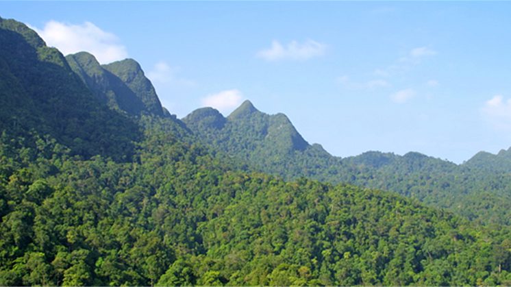 Business and industry call for a Global Deal for Nature and People