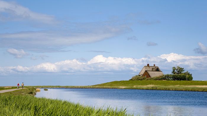 Hallig Hooge © Lookphotos/Sabine Lubenow