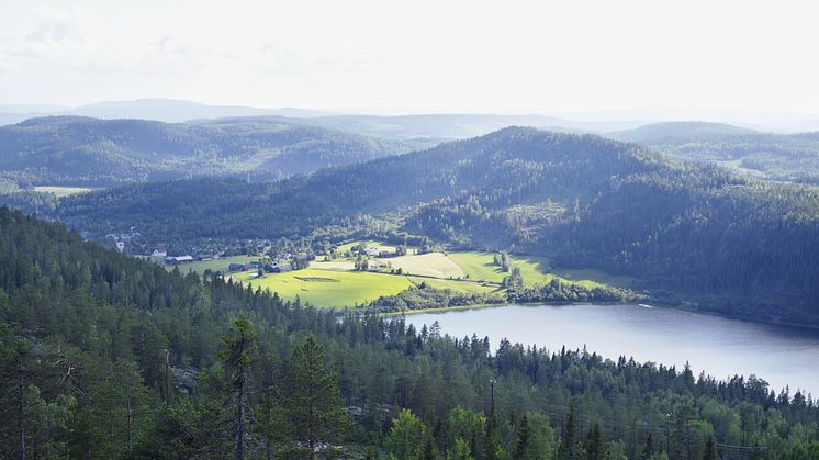 Polarbröd skriver under upprop för skärpning av EU:s klimatstrategi