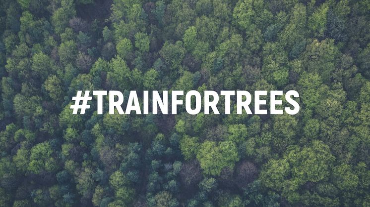 From 23 Nov to 1 Dec, 2019, Motosumo offers gyms worldwide a platform to convert calories burned in workouts into real-life trees that will be planted by the Arbor Day Foundation, as part of the #teamtrees initiative.  