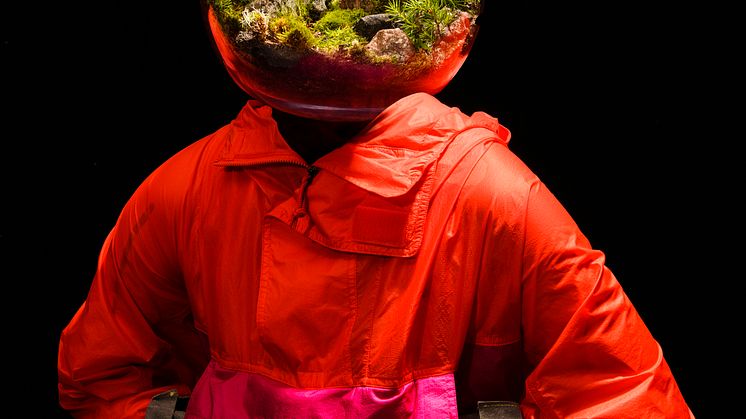 Terrarium_stående_högupplöst