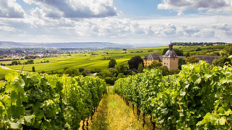 Oestrich-Winkel Schloss Vollrads i Rheingau; Bundesland Hessen; Foto:Kertzscher