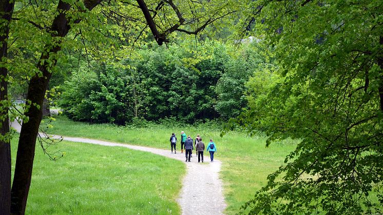Grimma - Wandern an der Mulde