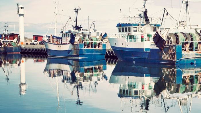 Ny studie från HaV: Överetablering av företag i svenskt fiske