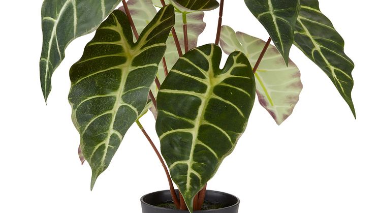 Kunstig plante MARIUS Ø38xH42cm