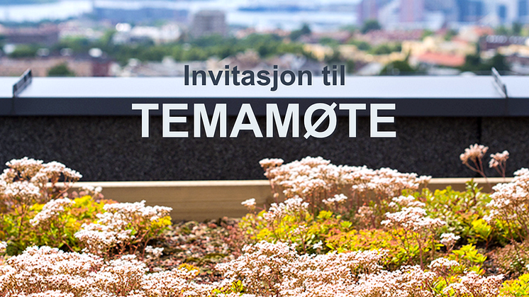 Temamøte om overannshåndtering - Se presentasjonene her
