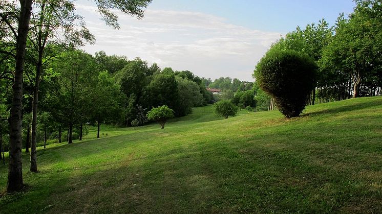 Järva DiscGolfPark, Stockholm
