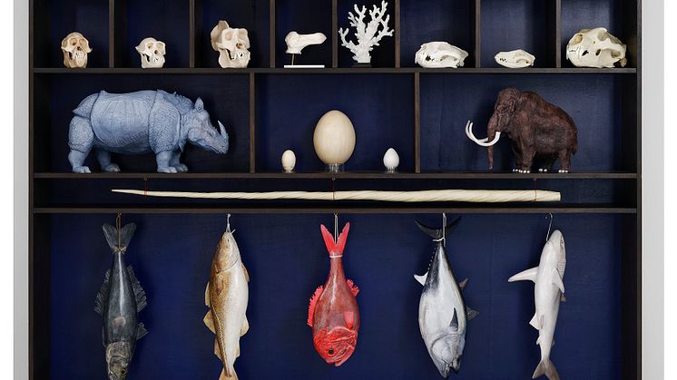 Mark Dion, Utdöendets kabinett (The Extinction Cabinet), 2021. Courtesy In Situ – Fabienne Leclerc gallery, Grand Paris 1x1