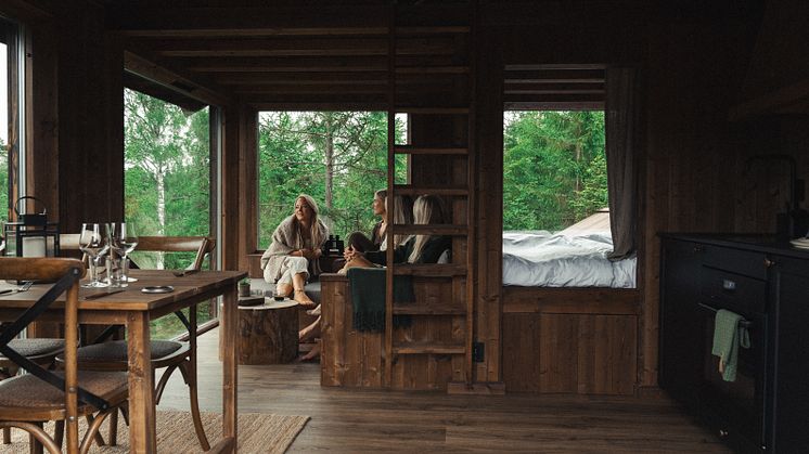 Hyssna Forest Resort - Treetop Cabin Foto_ Hyssna Forest Resort 3.jpg