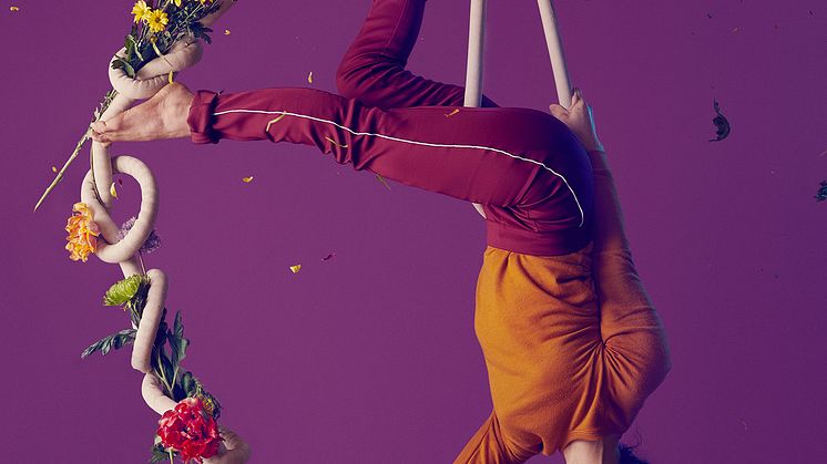 Bloom - Cirkus Cirkör
