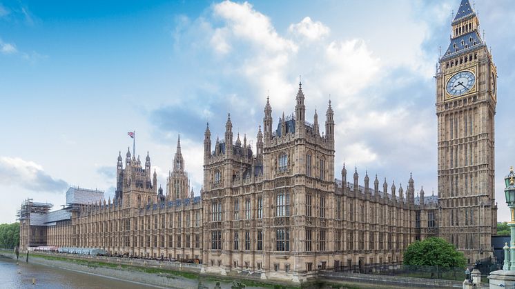 Literature expert addresses House of Commons inquiry