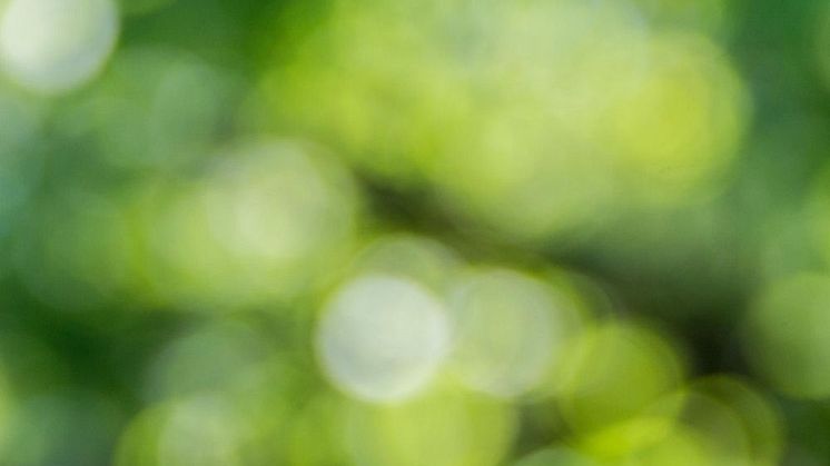 Plans set to enable the North East to become global leaders in creating green products and solutions