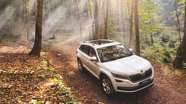 Danmarkspremiere: ŠKODA KODIAQ med syv sæder