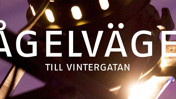 Fågelvägen till Vintergatan