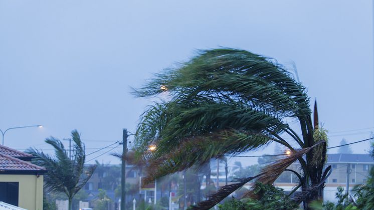 Disaster risk experts join forces to make cities safer in future