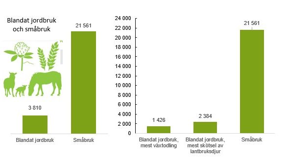 Diagram antal företag blandat jordbruk och småbruk