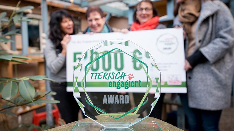 „tierisch engagiert“-Award: 5.000 € für die Katzenhilfe Karlsruhe