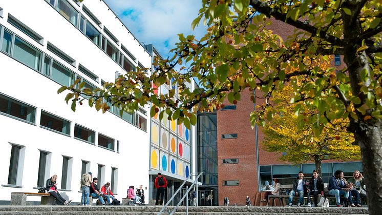 Nationellt möte inom lärplattformen PING PONG till Borås